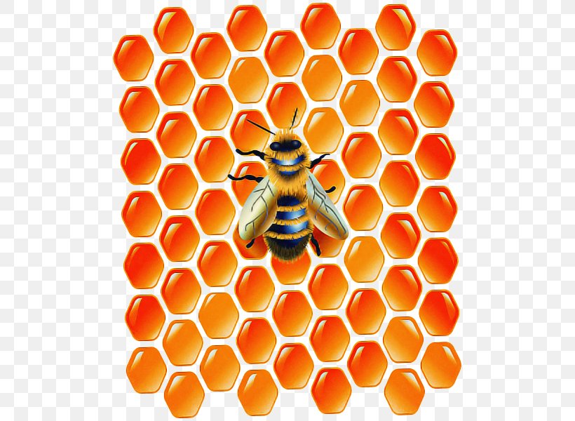 Hexagon Background, PNG, 503x600px, Honey Bee, Bee, Beehive, Bumblebee, Hexagon Download Free