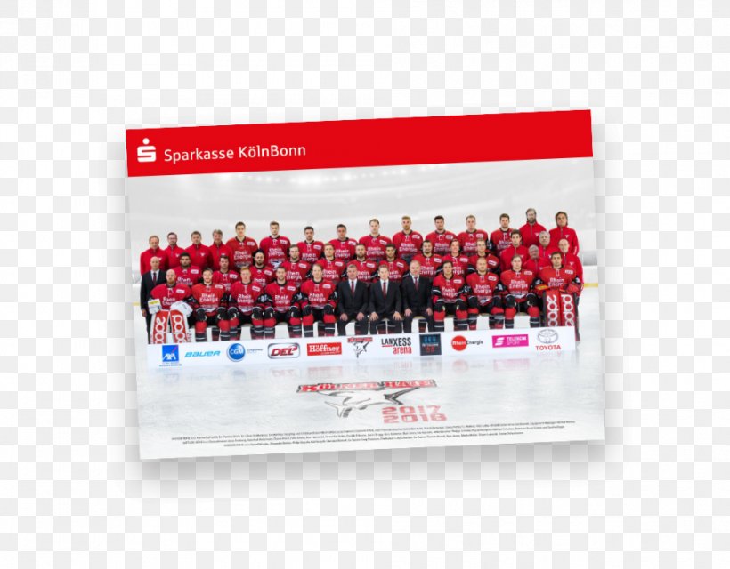 Identitätsverstärker GmbH Kölner Haie Ice Hockey Sport Team, PNG, 953x744px, Ice Hockey, Advertising, Agentur, Brand, Conflagration Download Free