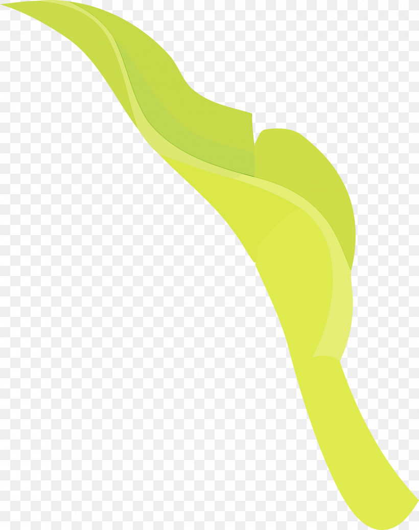 Leaf Plant Stem Yellow Meter Line, PNG, 2370x3000px, Watercolor Flower, Leaf, Line, Mathematics, Meter Download Free