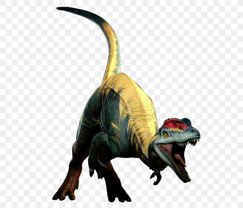 Tyrannosaurus Velociraptor Terrestrial Animal, PNG, 579x700px, Tyrannosaurus, Animal, Dinosaur, Organism, Reptile Download Free