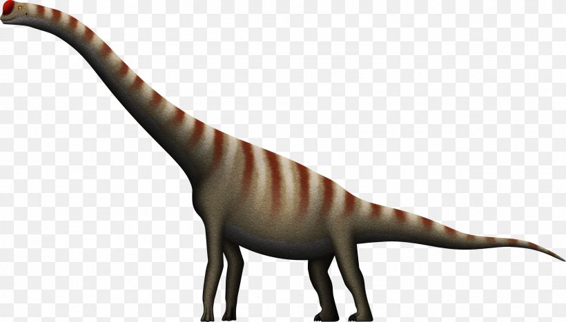 Velociraptor Brachiosaurus Daanosaurus Tyrannosaurus Allosaurus, PNG, 2552x1455px, Velociraptor, Allosaurus, Animal Figure, Atlasaurus, Brachiosaurus Download Free