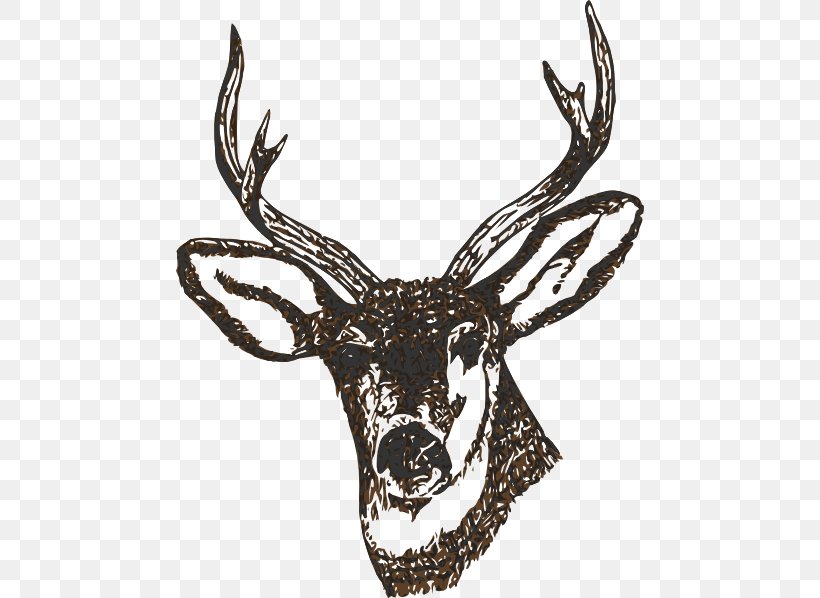 White-tailed Deer Clip Art, PNG, 468x598px, Deer, Antler, Black, Black And White, Color Download Free