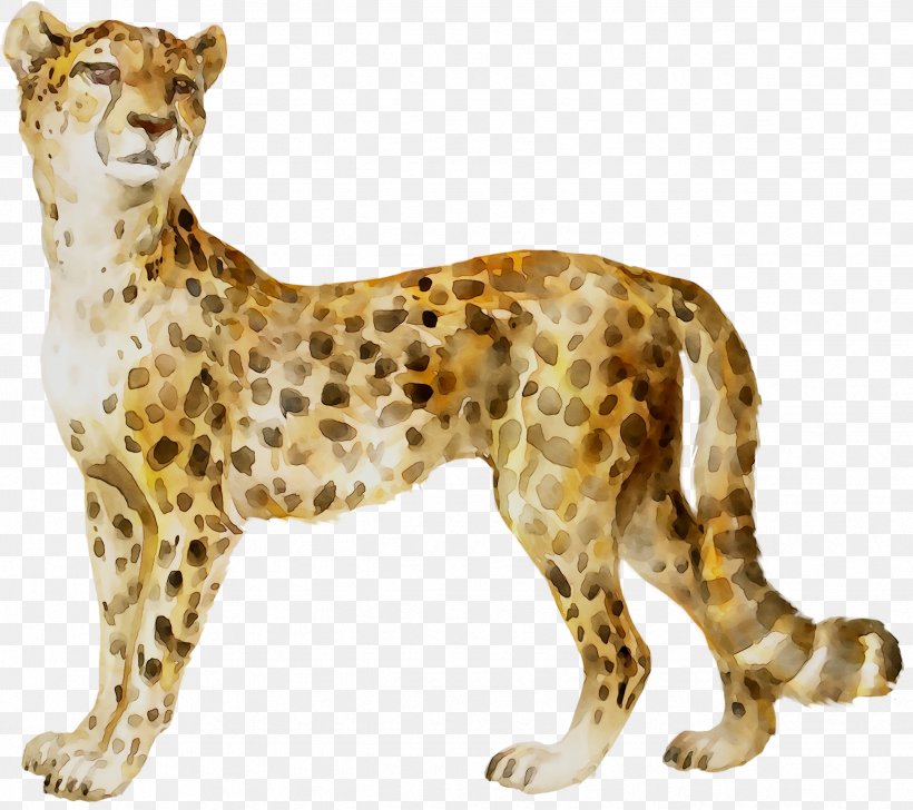 Cheetah Leopard Big Cat Whiskers, PNG, 2471x2194px, Cheetah, Animal, Animal Figure, Big Cat, Big Cats Download Free