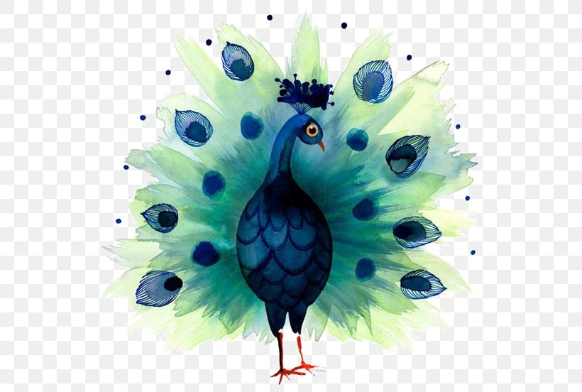 Green Peafowl Bird Asiatic Peafowl Embroidery, PNG, 564x552px, Green Peafowl, Animal, Asiatic Peafowl, Beak, Bird Download Free
