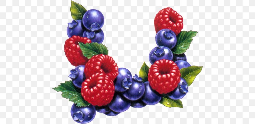 Animation Red Raspberry Clip Art, PNG, 487x399px, Animation, Berry, Bewegte Bilder, Bilberry, Blackberry Download Free