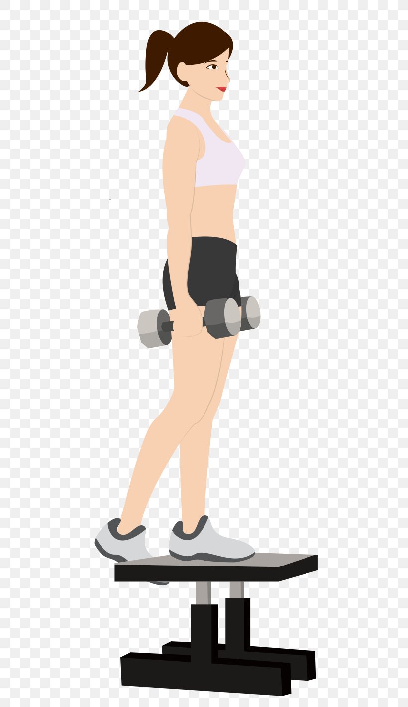 Exercise Machine Health Functional Training New Product Development, PNG, 561x1419px, Exercise Machine, Abdomen, Arm, Balance, Exercise Download Free