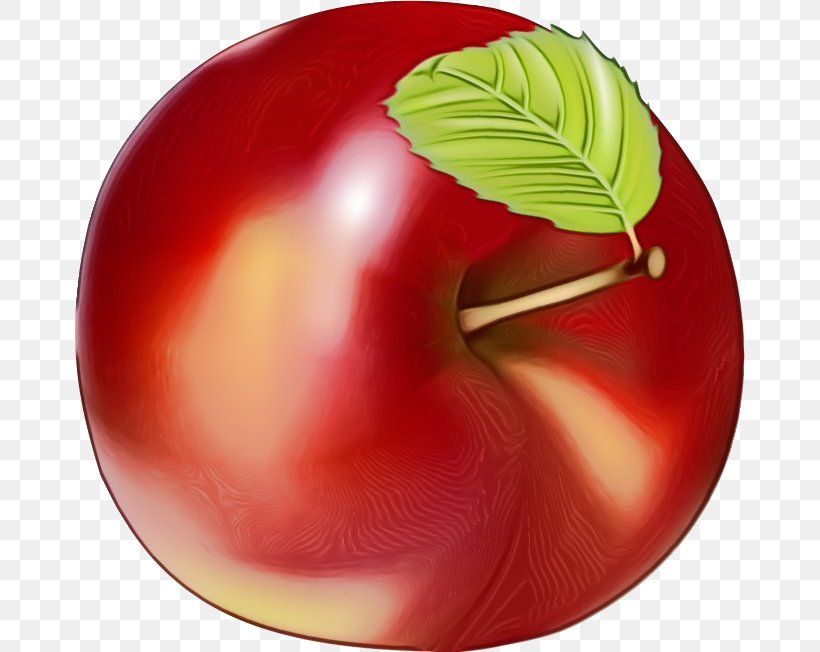 Fruit Cartoon, PNG, 670x652px, Apple, Dishware, Food, Fruit, Plant Download Free