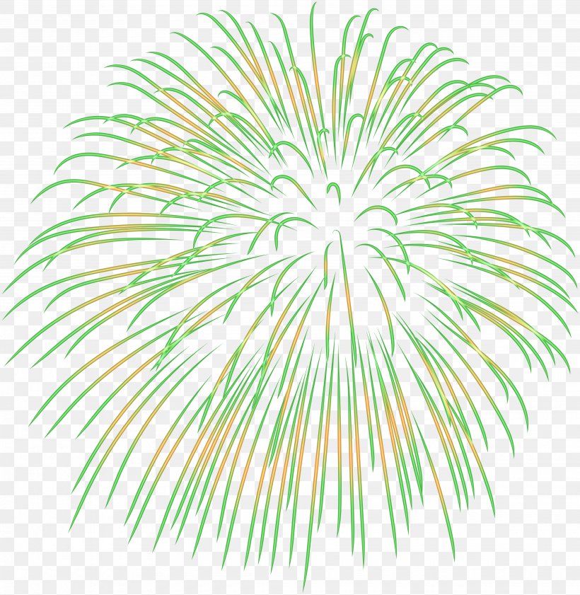 Clip Art Image Vector Graphics, PNG, 3900x4000px, Fireworks, Arecales, Branch, Drawing, Flowering Plant Download Free