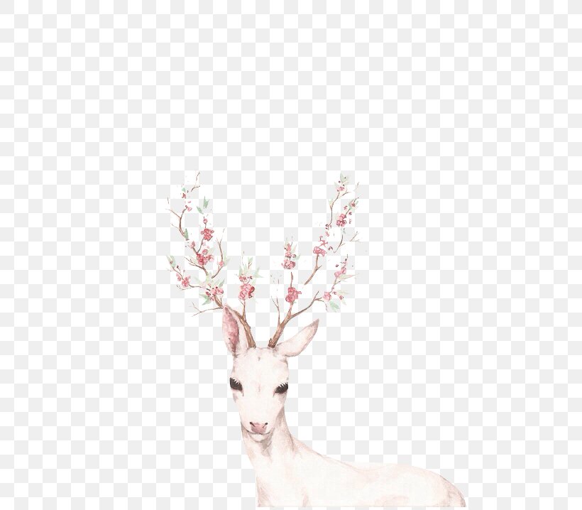 Reindeer Antler Drawing, PNG, 500x718px, Deer, Antler, Art, Branch, Drawing Download Free