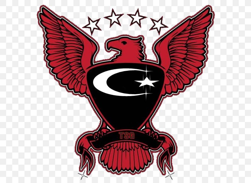 Atlanta Hawks Iron-on Logo, PNG, 600x600px, Atlanta Hawks, Atlanta, Beer, Fictional Character, Hat Download Free