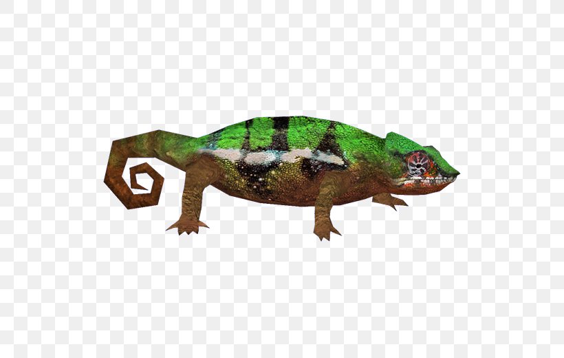 Reptile Lizard Chameleons Gecko Common Iguanas, PNG, 520x520px, Reptile, Amphibian, Animal, Chameleons, Common Iguanas Download Free