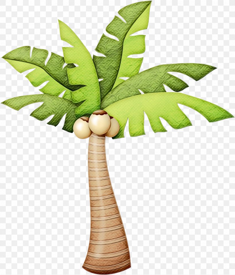 Coconut Leaf Drawing, PNG, 1348x1581px, Palm Trees, Arecales, Coconut, Drawing, Fern Download Free