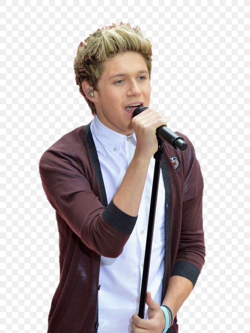 Niall Horan Mullingar One Direction Drawing, PNG, 734x1089px, Watercolor, Cartoon, Flower, Frame, Heart Download Free