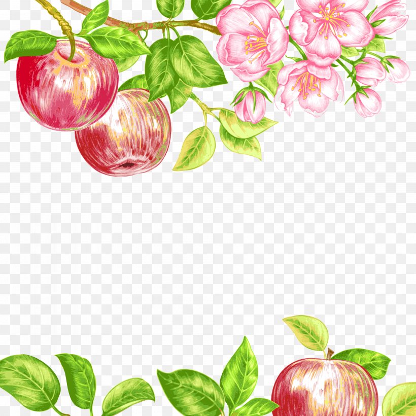 Royalty-free Photography Illustration, PNG, 4000x4000px, Royaltyfree, Apple, Auglis, Branch, Depositphotos Download Free