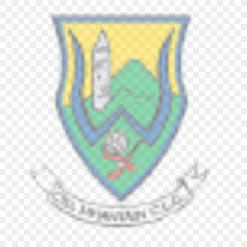 Wicklow GAA County Carlow County Louth Sport, PNG, 1000x1000px, Wicklow, Area, Brand, County Carlow, County Louth Download Free