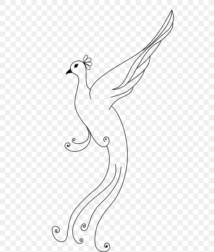 Bird Line Art Peafowl Clip Art, PNG, 512x963px, Bird, Area, Artwork, Beak, Black And White Download Free