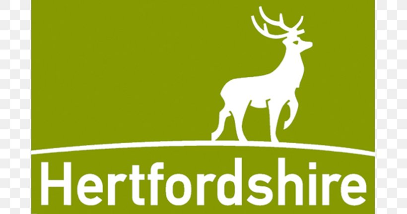 Hertfordshire County Council Watford Laborer Service Contract, PNG, 768x432px, Hertfordshire County Council, Antler, Brand, Contract, Councillor Download Free