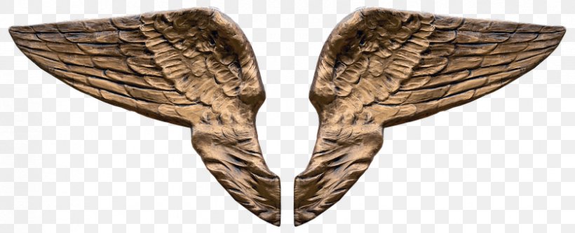Image Angel Wing Download 3D Computer Graphics, PNG, 836x340px, 3d Computer Graphics, 3d Modeling, Wing, Angel, Angel Wing Download Free