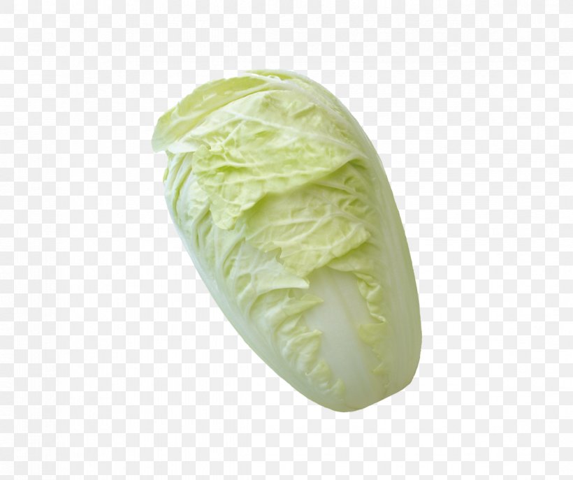 Napa Cabbage Cauliflower Vegetable, PNG, 1184x992px, Cabbage, Bok Choy, Brassica Oleracea, Cauliflower, Chinese Cabbage Download Free