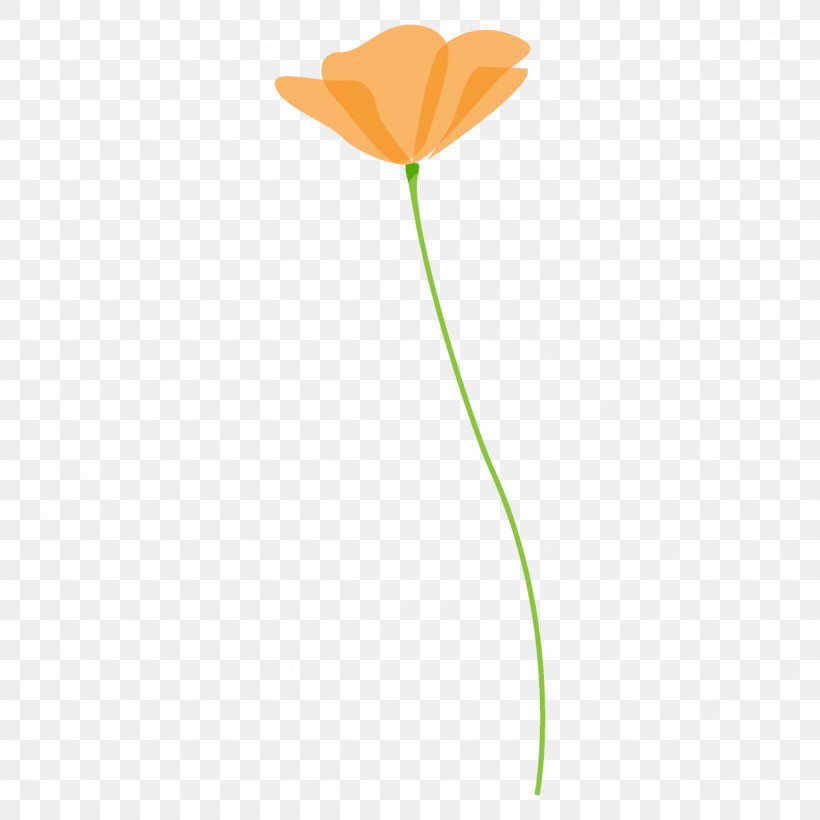 Poppy Flower, PNG, 1200x1200px, Poppy Flower, Anthurium, Flower, Leaf, Pedicel Download Free