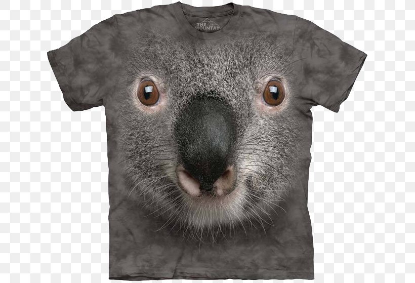T-shirt Koala Bear Australia, PNG, 640x559px, Tshirt, Australia, Baby Koala, Bear, Child Download Free