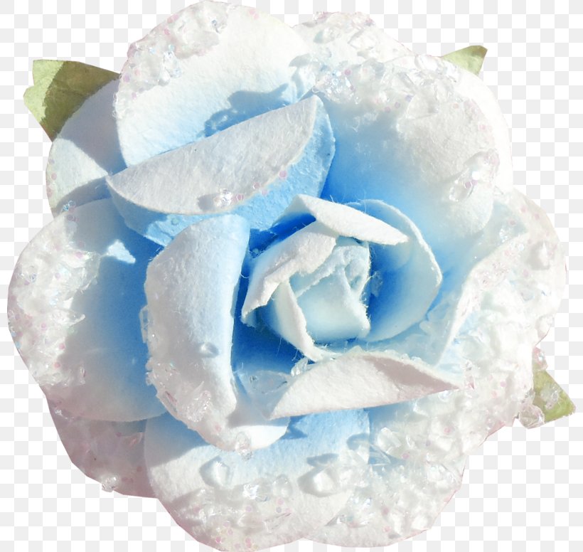 Blue Rose Cut Flowers Petal, PNG, 800x776px, Blue Rose, Blog, Blue, Crystal, Cut Flowers Download Free