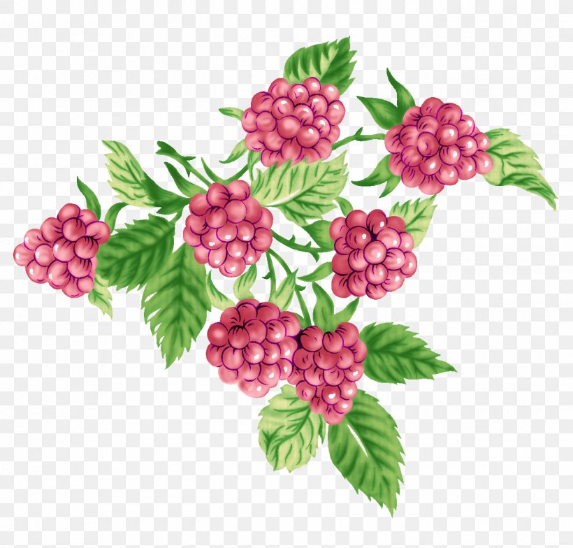 Cranberry Fruit Gift Image, PNG, 1350x1291px, Cranberry, Berries, Berry, Blackberry, Boysenberry Download Free