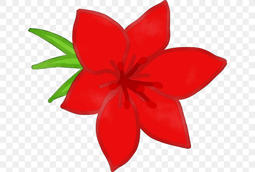 Petal Red Flower Plant Leaf, PNG, 640x554px, Watercolor, Flower, Flowering Plant, Leaf, Paint Download Free