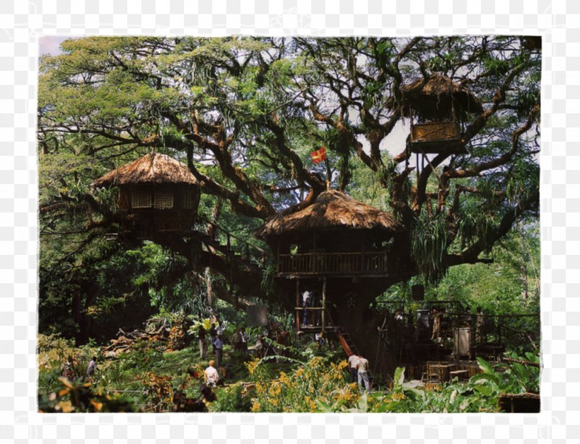 The Swiss Family Robinson Swiss Family Treehouse Tree House Adventure Film, PNG, 1024x784px, Swiss Family Robinson, Adventure Film, Biome, Building, Child Download Free