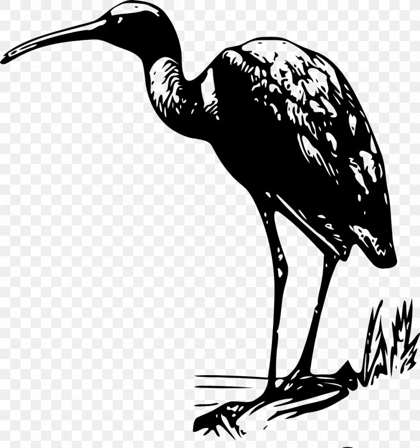 Bird Bald Eagle Crane Ibis Clip Art, PNG, 1200x1280px, Bird, American ...