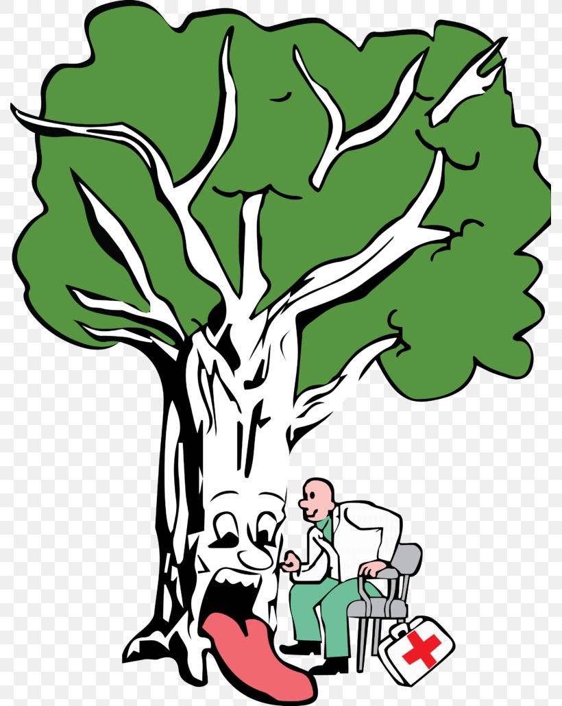Brockley Tree Service Branch Arborist Pruning, PNG, 789x1030px, Branch, Advertising, Arboriculture, Arborist, Area Download Free