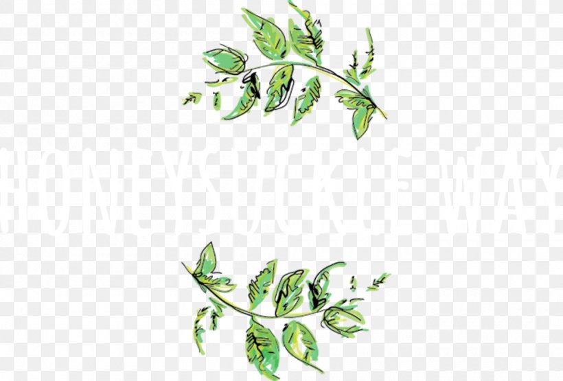 Honeysuckle Way Flowers Floral Design Floristry, PNG, 1000x677px, Floral Design, Branch, Flora, Floristry, Flower Download Free