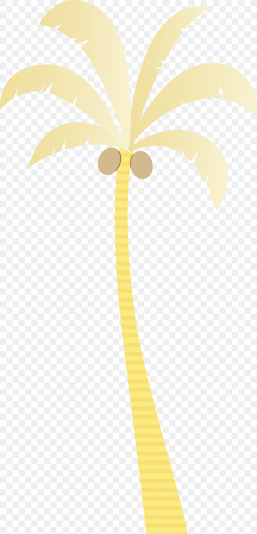 Palm Trees, PNG, 1444x3000px, Palm Tree, Beach, Cartoon Tree, Line, Meter Download Free