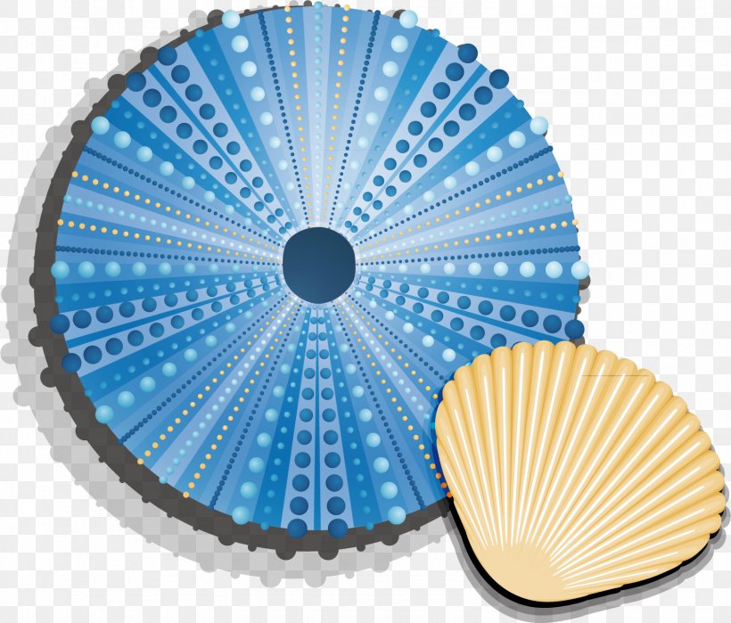 Seashell Euclidean Vector, PNG, 1593x1358px, Seashell, Blue, Conch, Drawing, Illustrator Download Free
