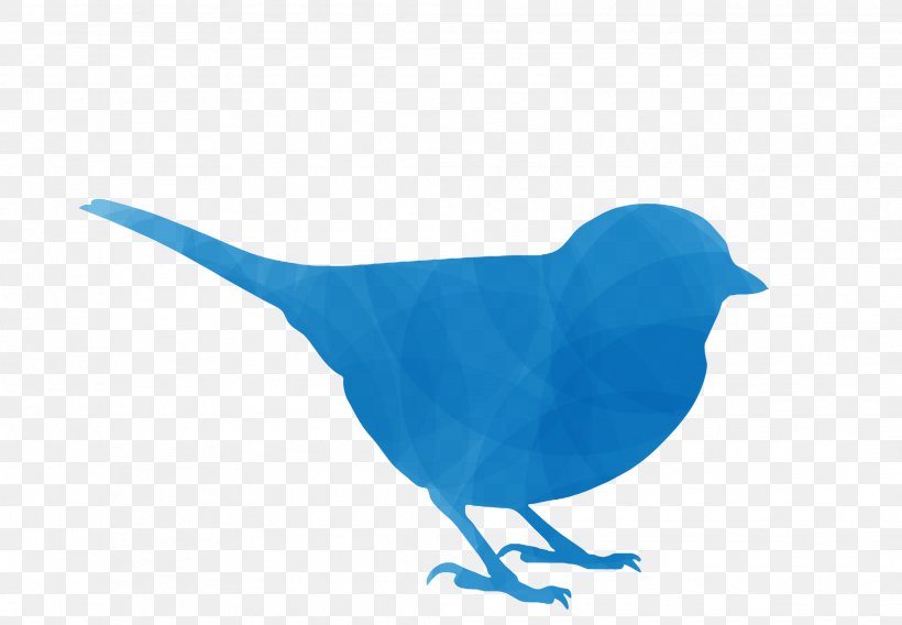 Stock Photography Royalty-free, PNG, 2086x1445px, Photography, Azure, Beak, Bird, Blue Download Free