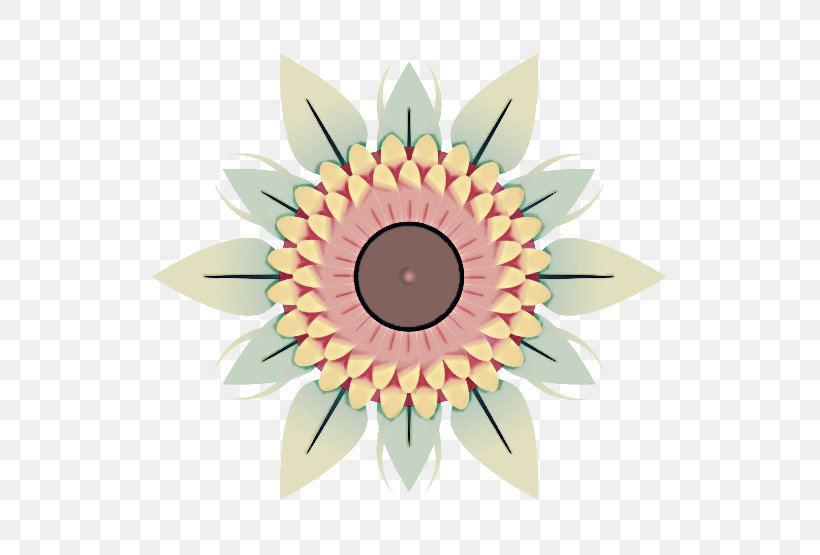 Sunflower, PNG, 555x555px, Flower, Daisy Family, Gerbera, Petal, Plant Download Free