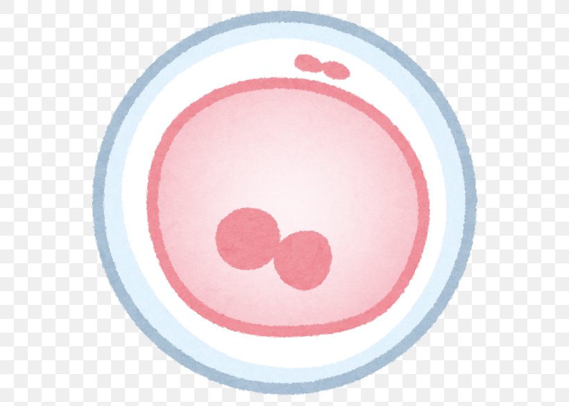 Transvaginal Oocyte Retrieval In Vitro Fertilisation Pregnancy Infertility, PNG, 586x586px, Transvaginal Oocyte Retrieval, Dishware, Egg Cell, Embryo, Fertilisation Download Free