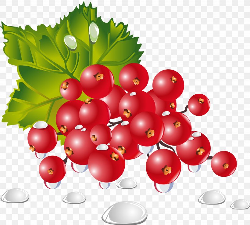 Vegetable Fruit Berry Food Dish, PNG, 3649x3281px, Vegetable, Animation, Aquifoliaceae, Aquifoliales, Berry Download Free