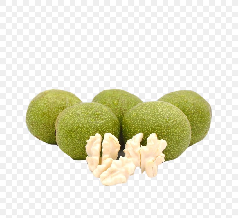 Walnut Juglans Peel, PNG, 750x750px, Walnut, Designer, Google Images, Grass, Juglans Download Free