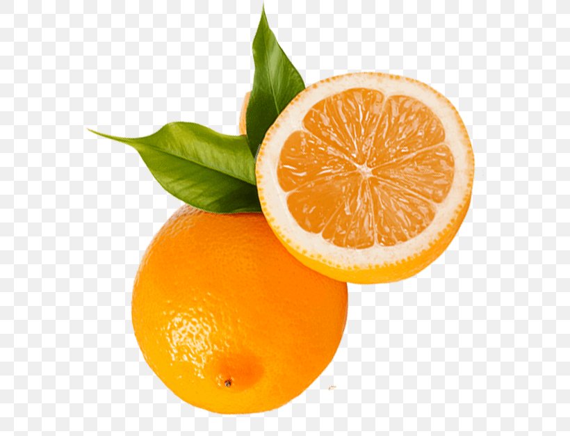 Clementine Mandarin Orange Tangerine Tangelo Rangpur, PNG, 576x627px, Clementine, Bitter Orange, Blood Orange, Citric Acid, Citrus Download Free