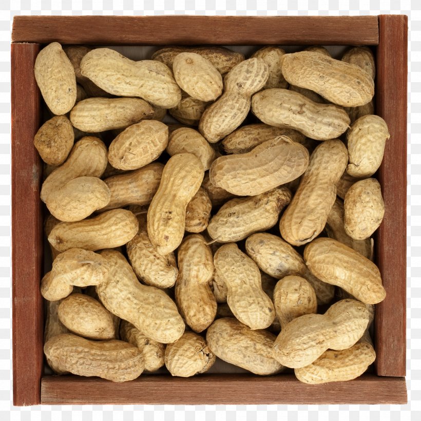 Peanut Food, PNG, 1870x1870px, Nut, Food, Hotel Frizzolan, Ingredient, Kuaci Download Free