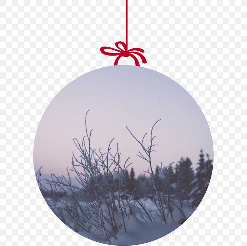 Christmas Tree Christmas Ornament Twig Pine, PNG, 600x815px, Christmas Tree, Branch, Christmas, Christmas Decoration, Christmas Ornament Download Free