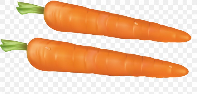 Baby Carrot Vecteur Lxe9gume Vert Drawing, PNG, 928x442px, Carrot, Baby Carrot, Bockwurst, Cervelat, Daucus Carota Download Free