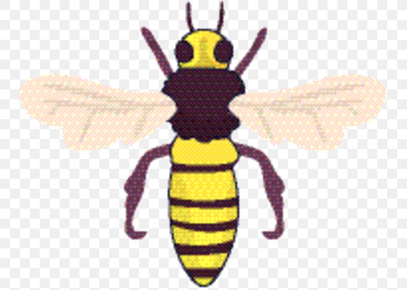 Bee Cartoon, PNG, 755x584px, Honey Bee, Animal Figure, Bee, Blister Beetles, Bumblebee Download Free