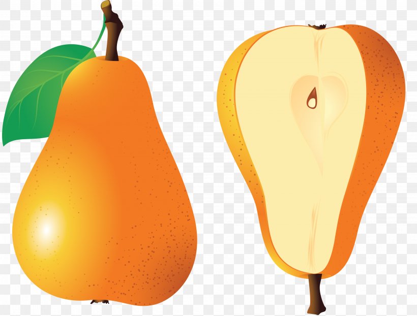 Euclidean Vector Fruit, PNG, 3800x2884px, Pear, Apple, Diet Food, Food, Fruit Download Free