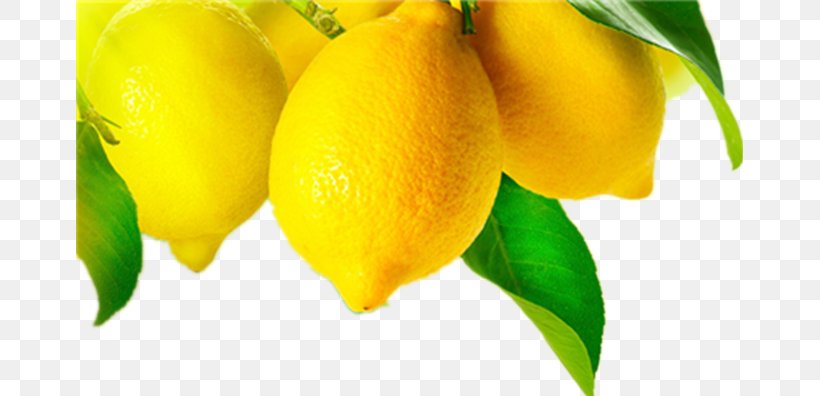 Grapefruit Juice Meyer Lemon Fruit Tree, PNG, 667x396px, Juice, Citric Acid, Citron, Citrus, Citrus Xd7 Sinensis Download Free
