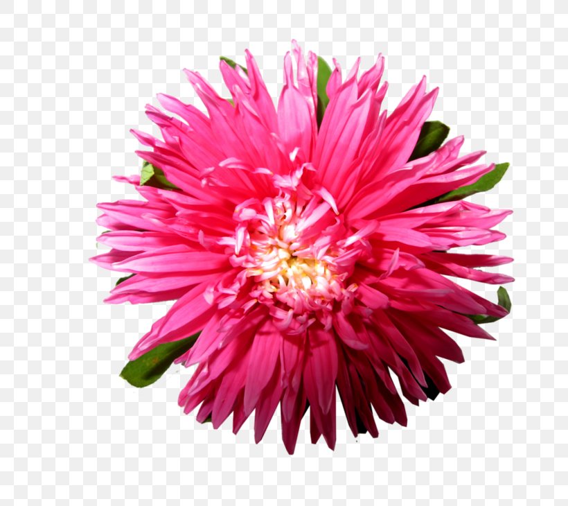 Image Download Adobe Photoshop Android Application Package, PNG, 800x730px, Dahlia, Android, Annual Plant, Apkpure, Aster Download Free