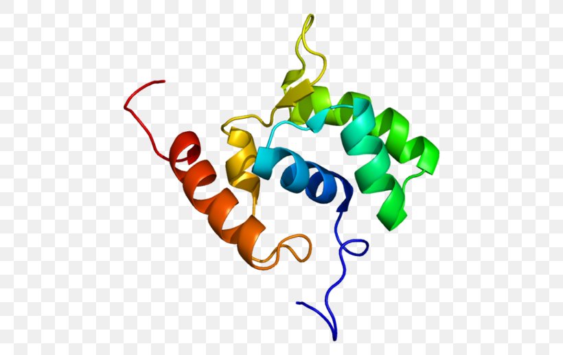 RNA Polymerase Protein Gene, PNG, 500x517px, Rna Polymerase, Area, Artwork, Bacterial Transcription, Dna Polymerase Download Free