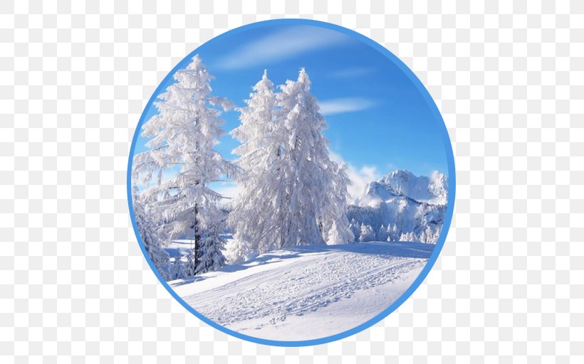 Desktop Wallpaper Snow Tree Winter Christmas, PNG, 512x512px, Snow, Arctic, Christmas, Christmas Ornament, Christmas Tree Download Free