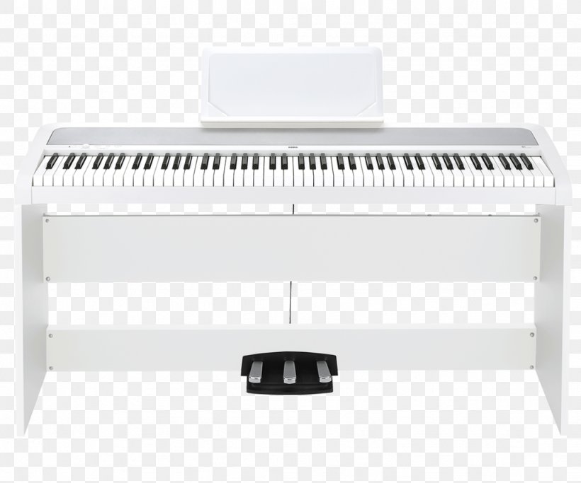 KORG B1SP Korg SP-280 Electronic Keyboard Digital Piano, PNG, 1024x853px, Korg B1, Casio Privia Px160, Digital Piano, Electric Piano, Electronic Device Download Free